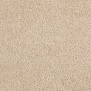 2023-OT8A8842