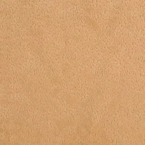 2025-OT8A8848