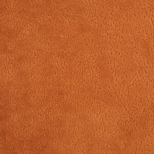 2028-OT8A8855