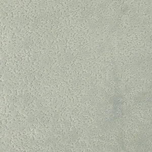 2029-OT8A8857
