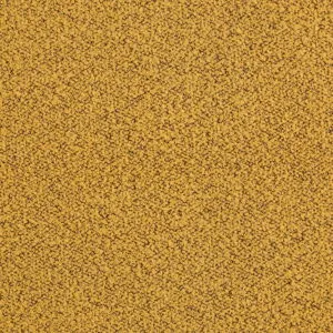 EV31-OT8A8798