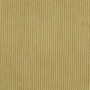 EV36-OT8A8779